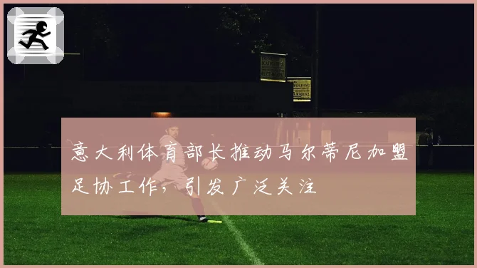 意大利体育部长推动马尔蒂尼加盟足协工作，引发广泛关注